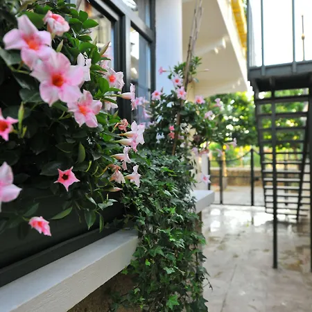Bed & Breakfast Petrino Goekceada Hotel&kitchen Gokceada
