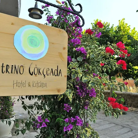 Bed & Breakfast Petrino Goekceada Hotel&kitchen