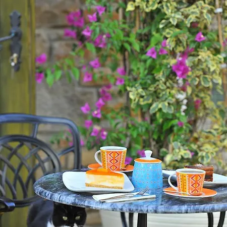 Petrino Goekceada Hotel&kitchen İmroz